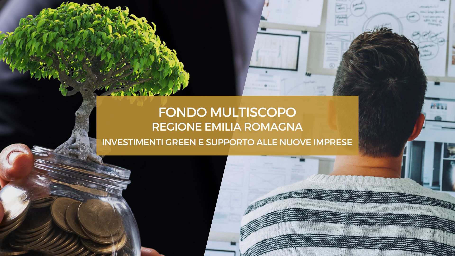 FONDO MULTISCOPO - REGIONE EMILIA ROMAGNA