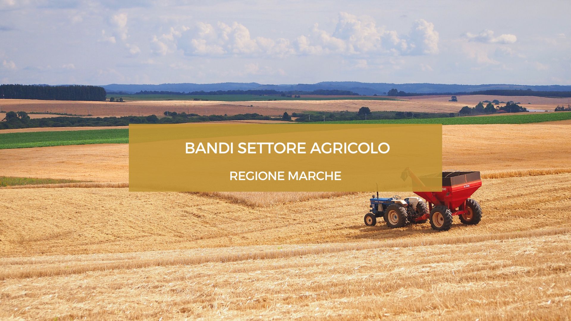 BANDI SETTORE AGRICOLO REGIONE MARCHE
